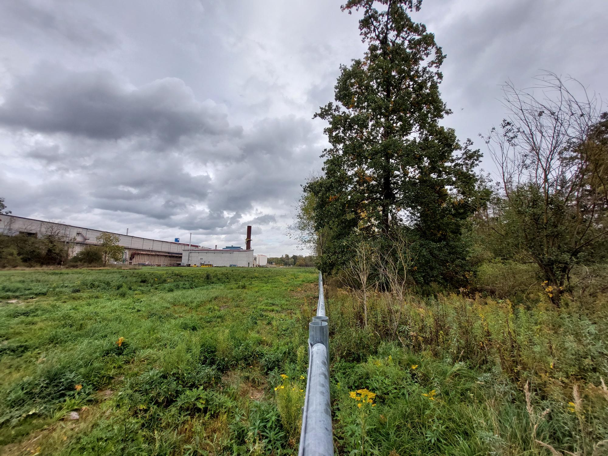 In der Mitte der Bauzaun,
       wie er sich zum Horizont erstreckt;
       links davon die Wiese mit ihren grasfreien Stellen;
       noch weiter links die Gebäude des Stahlwerkes;
       rechts vom Zaun ein Wald mit Laub- und Nadelbäumen verschiedenen Alters,
       dazwischen Gestrüpp