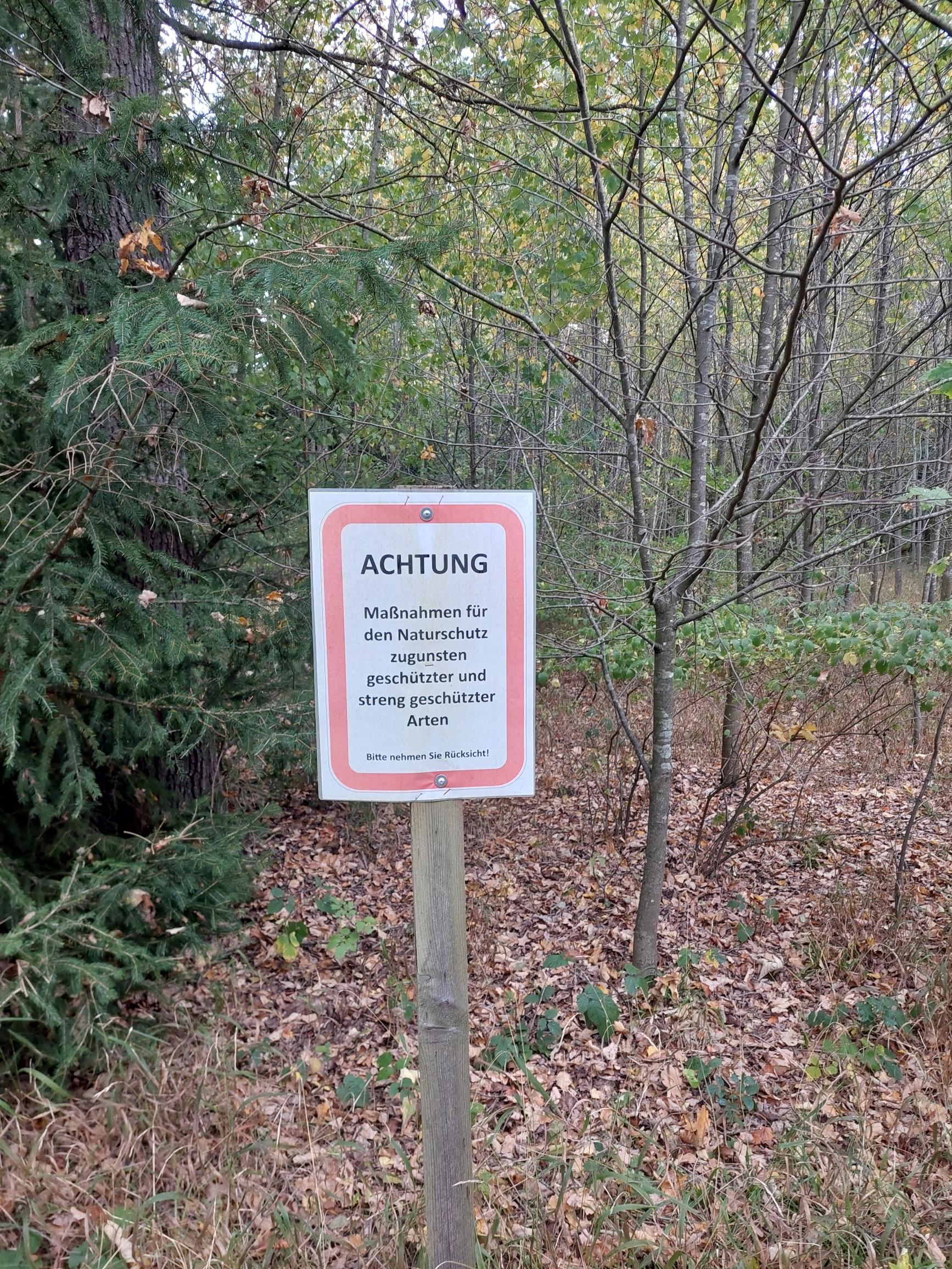 Ein dichtes Stück Wald mit Bäumen unterschiedlichen Alters,
       davor ein Schild mit der Aufschrift
       „ACHTUNG Maßnahmen für den Naturschutz zugunsten geschützter
       und streng geschützter Arten Bitte nehmen Sie Rücksicht!“