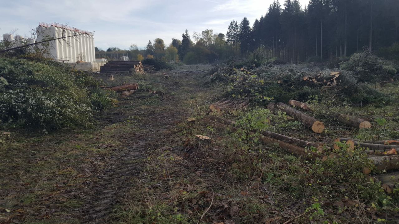 Ein frisch verwüsteter Wald
       vor den Industriegebäuden des Stahlwerkes
       besteht aus Baumstümpfen, frisch gefällten Baumstämme,
       die wild in der Gegend herumliegen,
       sowie ebenfalls herumliegenden Ästen,
       sowohl von Nadelbäumen als von Laubbäumen.
       Dazwischen haben sich die Spuren breiter Räder
       tief in den feuchten Boden gegraben.